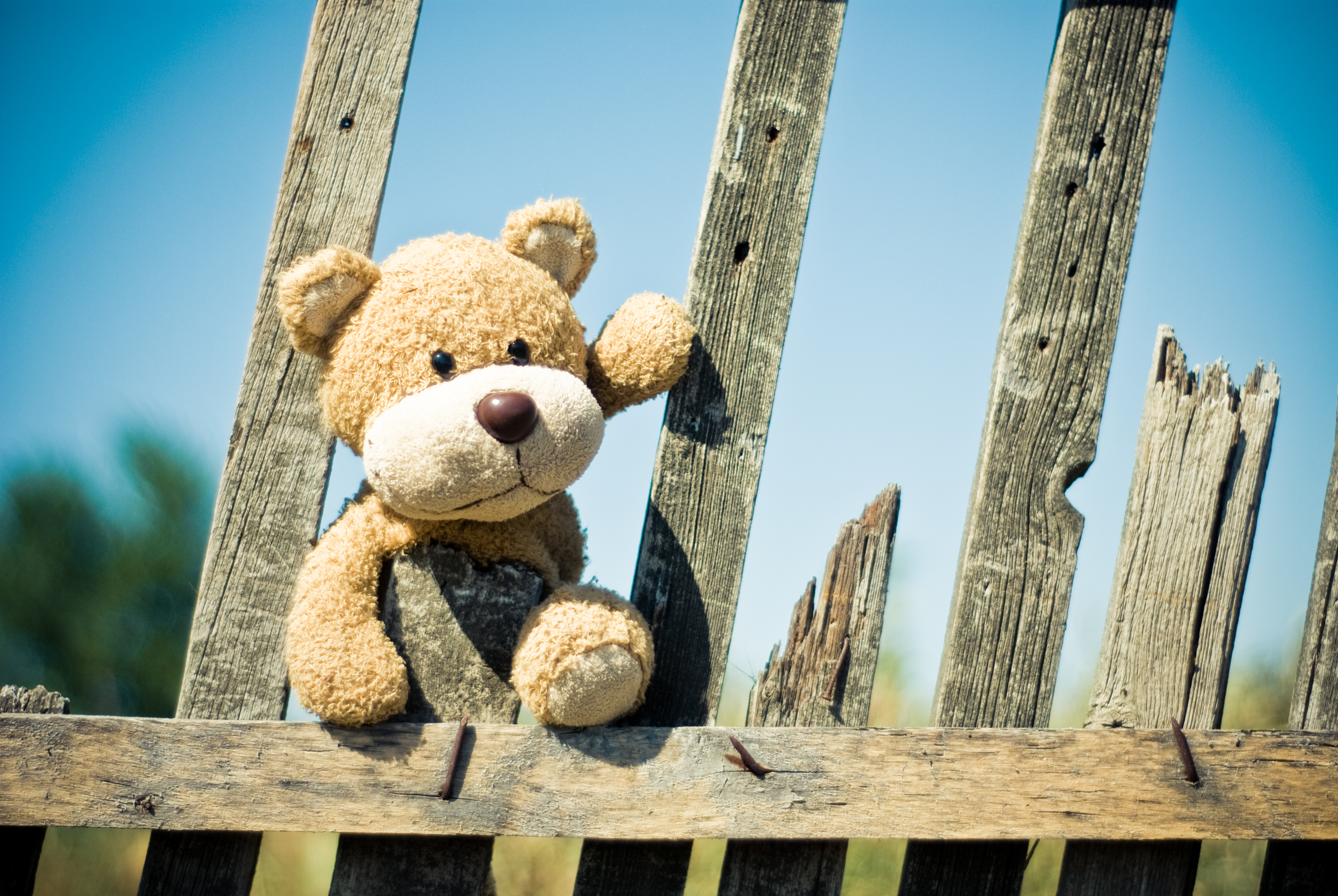 Teddy bear overcoming a fence